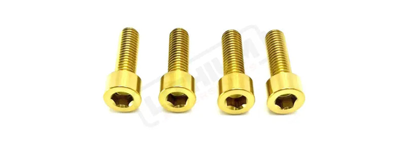 TS Axle Pinch Titanium Bolts for EXT Ferro Fork - Lithium Powersports