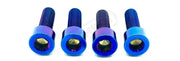 TS Axle Pinch Titanium Bolts for Fox 40 and Bomber Forks - Lithium Powersports