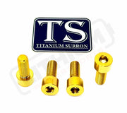 TS Axle Pinch Titanium Bolts for KKE/ DNM Forks - Gold / Altis Sigma Factory Fork - Titanium Bolts