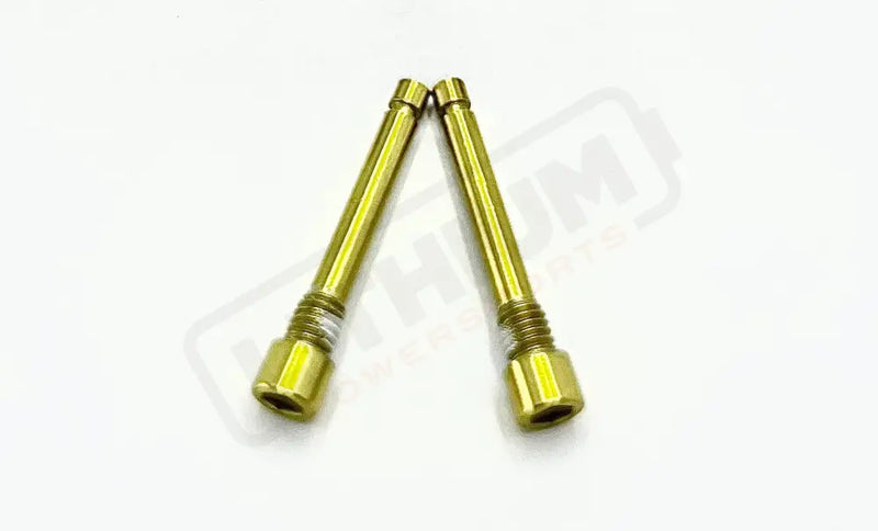 TS Brake - Pad Screws/ Pins - Surron LBS LBX, Segway X160 X260, Talaria - Lithium Powersports