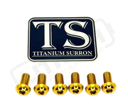 TS Controller Mount Bolts for Surron Talaria MX3/MX4 & XXX E-Ride Pro - Surron LBX (6 pcs) / Gold - Titanium Bolts