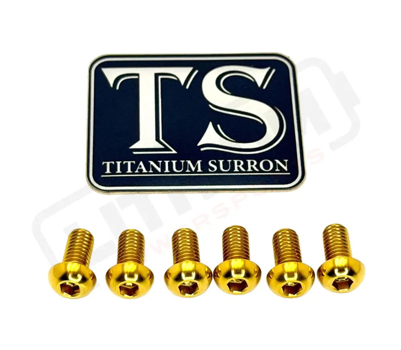 TS Controller Mount Bolts for Surron Talaria MX3/MX4 & XXX E-Ride Pro - Surron LBX (6 pcs) / Gold - Titanium Bolts