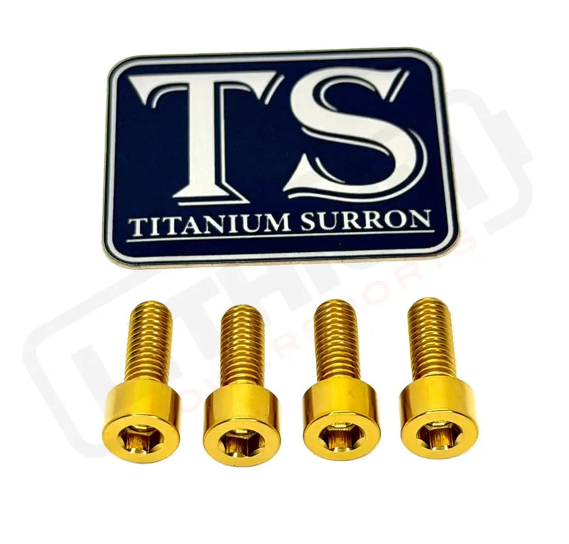 TS Controller Mount Bolts for Surron Talaria MX3/MX4 & XXX E-Ride Pro - Surron Ultra Bee (4 pcs) / Gold - Titanium Bolts