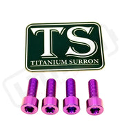 TS Controller Mount Bolts for Surron Talaria MX3/MX4 & XXX E-Ride Pro - Surron Ultra Bee (4 pcs) / Purple - Titanium