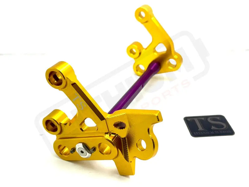 TS Custom CNC Aluminum Footpeg Bracket Assembly E-Ride Pro SS and S - Gold / Purple - Footpeg bracket assembly ERP
