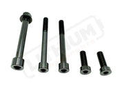 TS Talaria MX3 MX4 6 Piece Custom Motor / Gearbox Titanium Kit - Black - Titanium Bolts