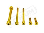 TS Talaria MX3 MX4 6 Piece Custom Motor / Gearbox Titanium Kit - Titanium Bolts