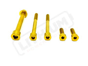 TS Talaria MX3 MX4 6 Piece Custom Motor / Gearbox Titanium Kit - Gold - Titanium Bolts