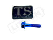 TS Talaria Sting R MX4 8 Piece Custom Gearbox Titanium Bolt Kit - Blue / Hex Head (8 pcs) - Titanium Bolts