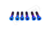 TS Talaria Sting R MX4 8 Piece Custom Gearbox Titanium Bolt Kit - Burnt Blue / Half Head (8 pcs) - Titanium Bolts