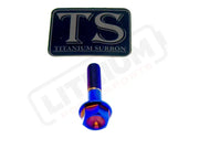 TS Talaria Sting R MX4 8 Piece Custom Gearbox Titanium Bolt Kit - Burnt Blue / Hex Head (8 pcs) - Titanium Bolts