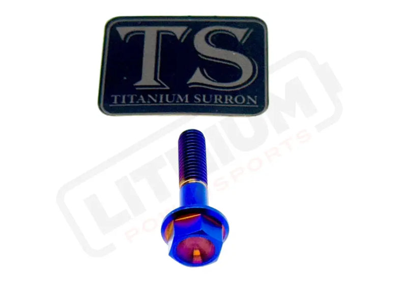 TS Talaria Sting R MX4 8 Piece Custom Gearbox Titanium Bolt Kit - Burnt Blue / Hex Head (8 pcs) - Titanium Bolts
