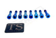 TS Talaria Sting R MX4 8 Piece Custom Gearbox Titanium Bolt Kit - Burnt Blue / Regular Socket Head (8 pcs) - Titanium
