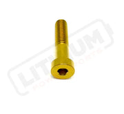 TS Talaria Sting R MX4 8 Piece Custom Gearbox Titanium Bolt Kit - Gold / Half Head (8 pcs) - Titanium Bolts