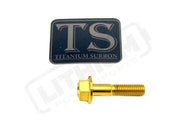 TS Talaria Sting R MX4 8 Piece Custom Gearbox Titanium Bolt Kit - Gold / Hex Head (8 pcs) - Titanium Bolts