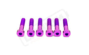 TS Talaria Sting R MX4 8 Piece Custom Gearbox Titanium Bolt Kit - Purple / Half Head (8 pcs) - Titanium Bolts