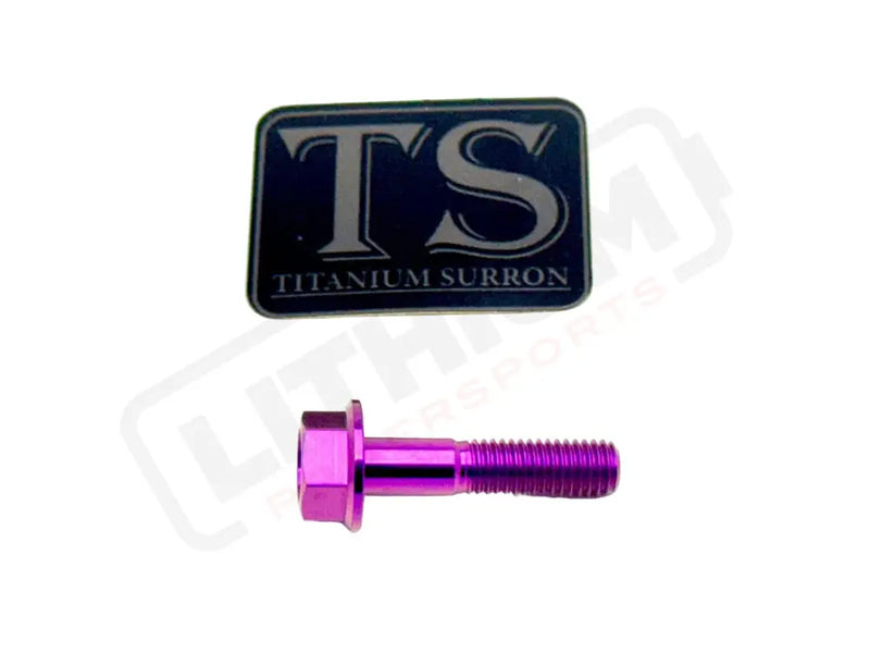 TS Talaria Sting R MX4 8 Piece Custom Gearbox Titanium Bolt Kit - Purple / Hex Head (8 pcs) - Titanium Bolts