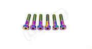 TS Talaria Sting R MX4 8 Piece Custom Gearbox Titanium Bolt Kit - Rainbow / Half Head (8 pcs) - Titanium Bolts