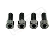 TS Talaria XXX Seat Subframe or Foot Peg Titanium Bolts (4) - Black / Surron Ultra Bee - Titanium Bolts