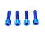 TS Talaria XXX Seat Subframe or Foot Peg Titanium Bolts (4) - Blue / Surron LBX - Segway - Titanium Bolts