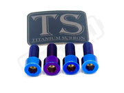 TS Talaria XXX Seat Subframe or Foot Peg Titanium Bolts (4) - Lithium Powersports