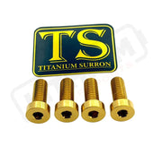 TS Talaria XXX Seat Subframe or Foot Peg Titanium Bolts (4) - Gold / Surron LBX - Segway - Titanium Bolts
