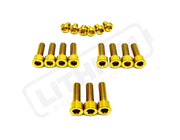 TS Titanium Altis Sigma Front Fork Bolt Kit - Gold - Titanium Hardware