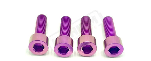 TS Titanium Axle Pinch Bolts for FastAce 2.0 ALX13RC and E-Ride Pro 2.0 OEM RST Forks Purple / OEM Fork for ERP S/SS