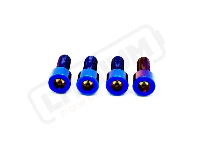 TS Titanium Bash Guard/ Skid Plate Bolts - Surron LBX and Segway (Set of 4) - Titanium Bolts