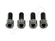 TS Titanium Bash Guard/ Skid Plate Bolts - Surron LBX and Segway (Set of 4) - Black / Surron LBX/ Segway - Titanium