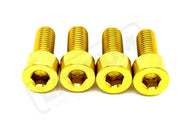 TS Titanium Bash Guard/ Skid Plate Bolts - Surron LBX and Segway (Set of 4) - Gold / Surron LBX/ Segway - Titanium Bolts