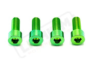TS Titanium Bash Guard/ Skid Plate Bolts - Surron LBX and Segway (Set of 4) - Green / Surron LBX/ Segway - Titanium