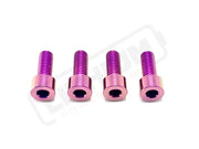 TS Titanium Bash Guard/ Skid Plate Bolts - Surron LBX and Segway (Set of 4) - Purple / Surron LBX/ Segway - Titanium