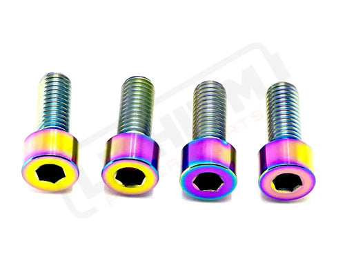 TS Titanium Bash Guard/ Skid Plate Bolts - Surron LBX and Segway (Set of 4) - Rainbow / Surron LBX/ Segway - Titanium