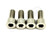 TS Titanium Bash Guard/ Skid Plate Bolts - Surron LBX and Segway (Set of 4) - Silver (raw) / Surron LBX/ Segway