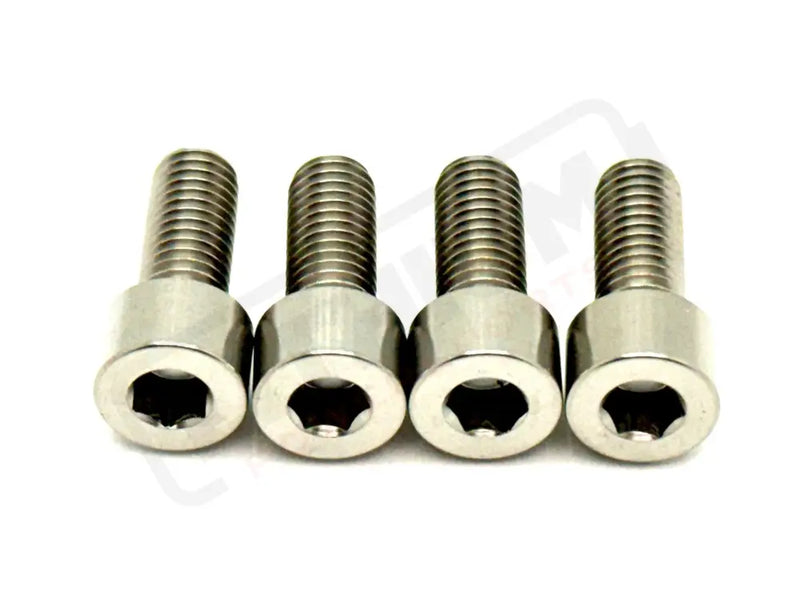 TS Titanium Bash Guard/ Skid Plate Bolts - Surron LBX and Segway (Set of 4) - Silver (raw) / Surron LBX/ Segway