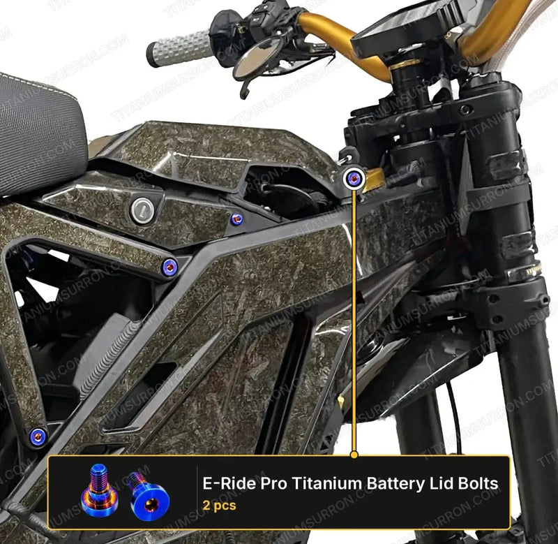 TS Titanium Battery Lid Bolts - E-Ride Pro - (Two Pcs) - Burnt Blue - Titanium Bolts