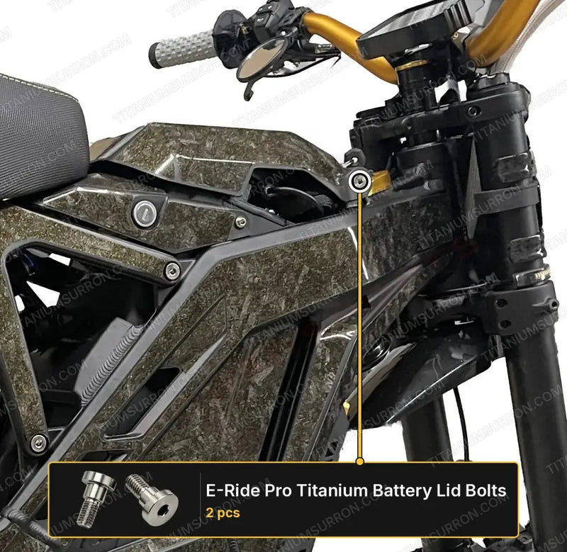TS Titanium Battery Lid Bolts - E-Ride Pro - (Two Pcs) - Raw Titanium (Silver) - Titanium Bolts