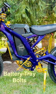 TS Titanium Battery Tray Bolts (Set of Two) Surron, Segway, E - Ride Pro - Lithium Powersports