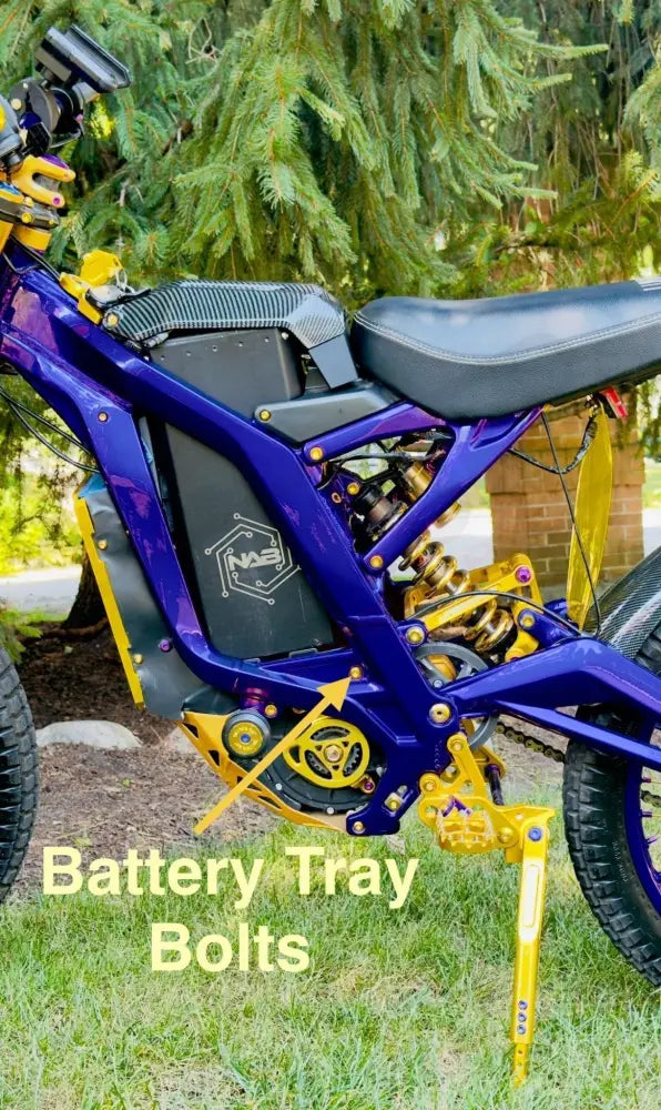 TS Titanium Battery Tray Bolts (Set of Two) Surron, Segway, E - Ride Pro - Lithium Powersports