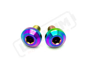 TS Titanium Battery Tray Bolts (Set of Two) Surron Segway E-Ride Pro - Rainbow - Titanium Bolts