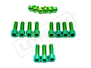 TS Titanium Bolt Kit for E - Ride Pro SS 3.0 Factory FastAce Fork (ALX32RC) - Lithium Powersports