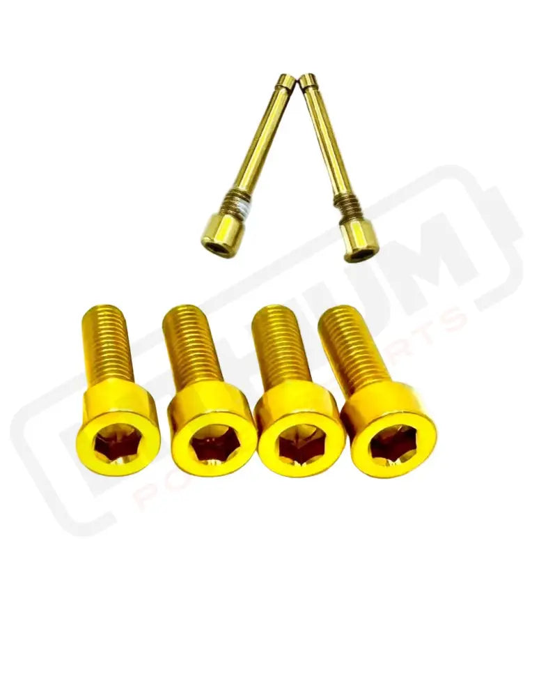 TS Titanium Caliper Bolt Kit (20mm Bolts) - Gold / Caliper Set + Brake Pad Bolts (6 Pieces) - Titanium Bolts