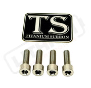 TS Titanium Caliper Bolt Kit (20mm Bolts) - Silver (raw) / Caliper Only (4 Pieces -- 2 Calipers) - Titanium Bolts