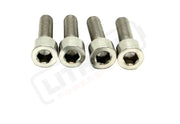TS Titanium Caliper Bolt Kit (20mm Bolts) - Lithium Powersports