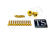 TS Titanium DNM/ KKE Fork Bolt Kits - Gold / Includes 2 Titanium axle-end bolts - Titanium Bolts