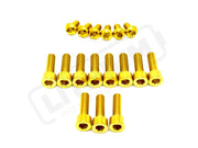 TS Titanium DNM/ KKE Fork Bolt Kits - Lithium Powersports