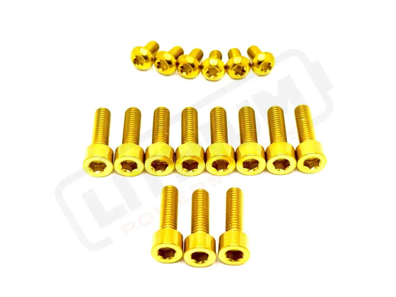 TS Titanium DNM/ KKE Fork Bolt Kits - Lithium Powersports