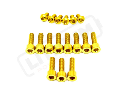 TS Titanium DNM/ KKE Fork Bolt Kits - Lithium Powersports