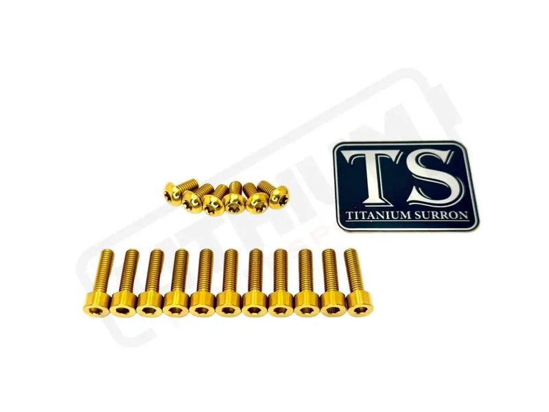 TS Titanium DNM/ KKE Fork Bolt Kits - Gold / Without axle-end bolts - Titanium Bolts
